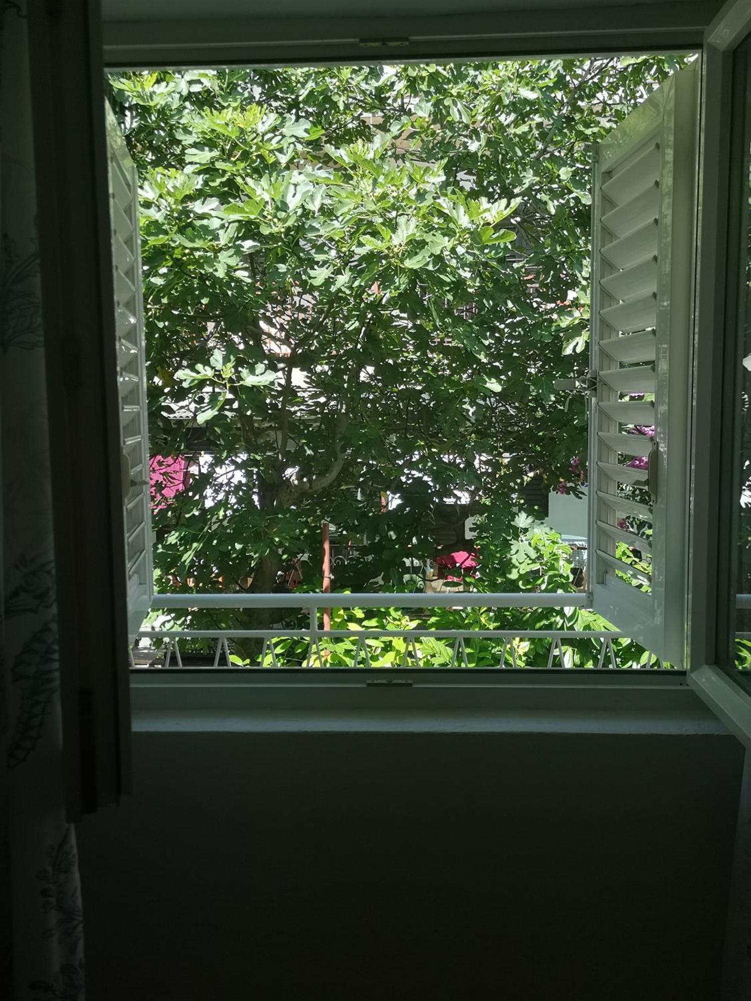 Apartman Adriatic Pavlinovic - Makarska Dış mekan fotoğraf