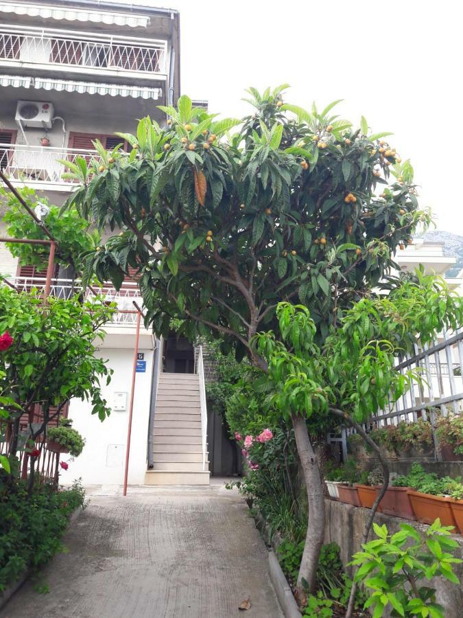 Apartman Adriatic Pavlinovic - Makarska Dış mekan fotoğraf