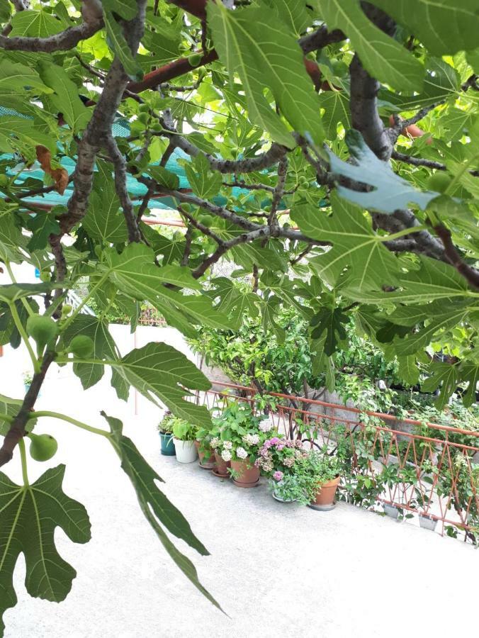 Apartman Adriatic Pavlinovic - Makarska Dış mekan fotoğraf
